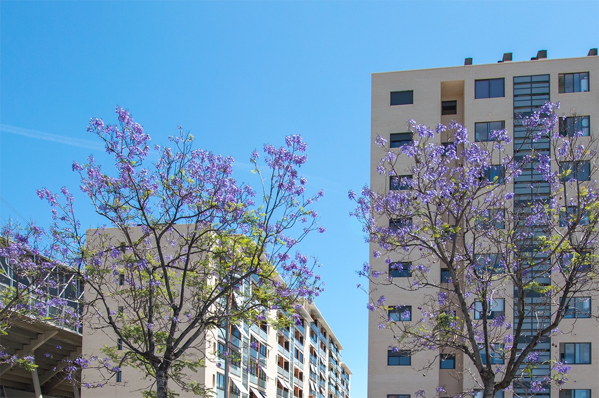 Villa Teresa Sport I